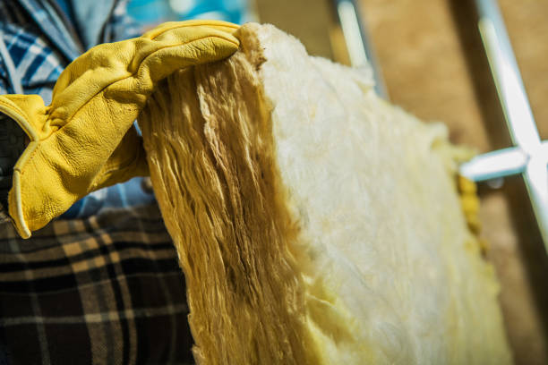 Best Cellulose Insulation  in Gateway, AK