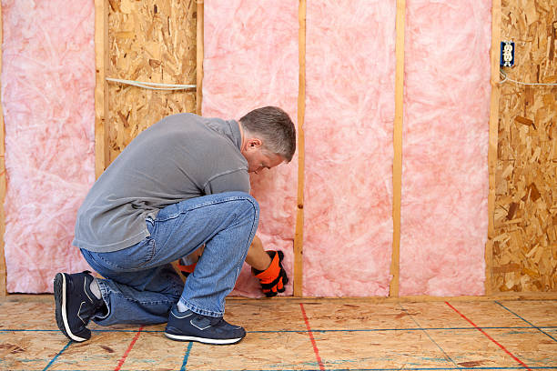Best Residential Insulation Services  in Gateway, AK